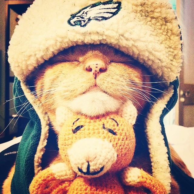 From Lito the Cat to Kitty Parkey, we love all the felines of #EaglesNation! Happy 