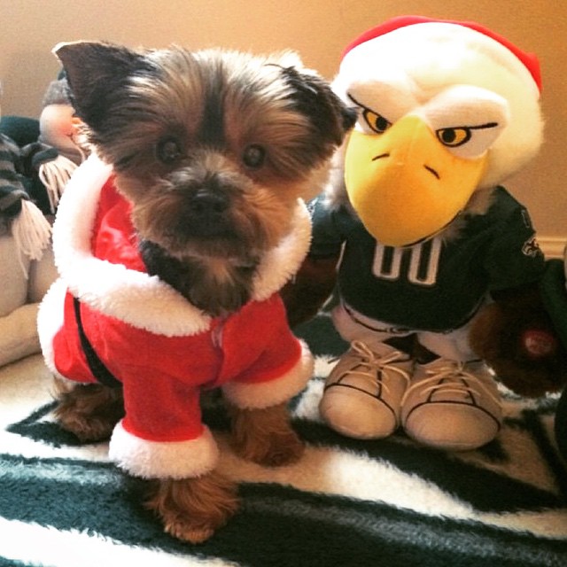 #EaglesNation's best friend.