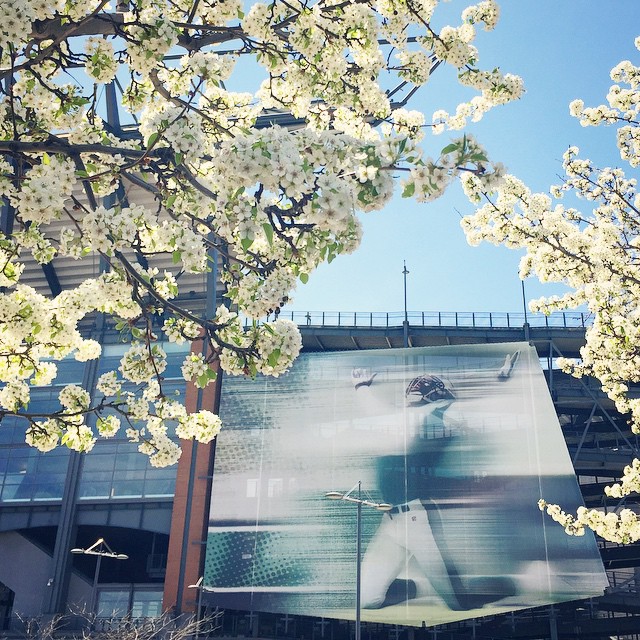 Spring has sprung at the Nest